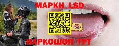 амф Кандалакша