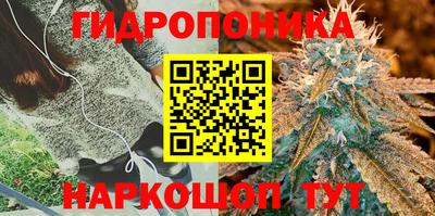 сатива Будённовск