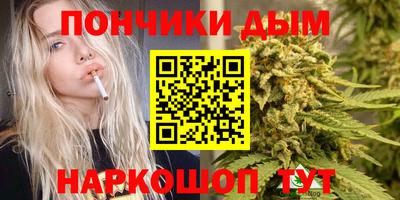 сатива Будённовск