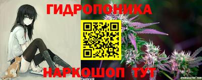 амф Кандалакша