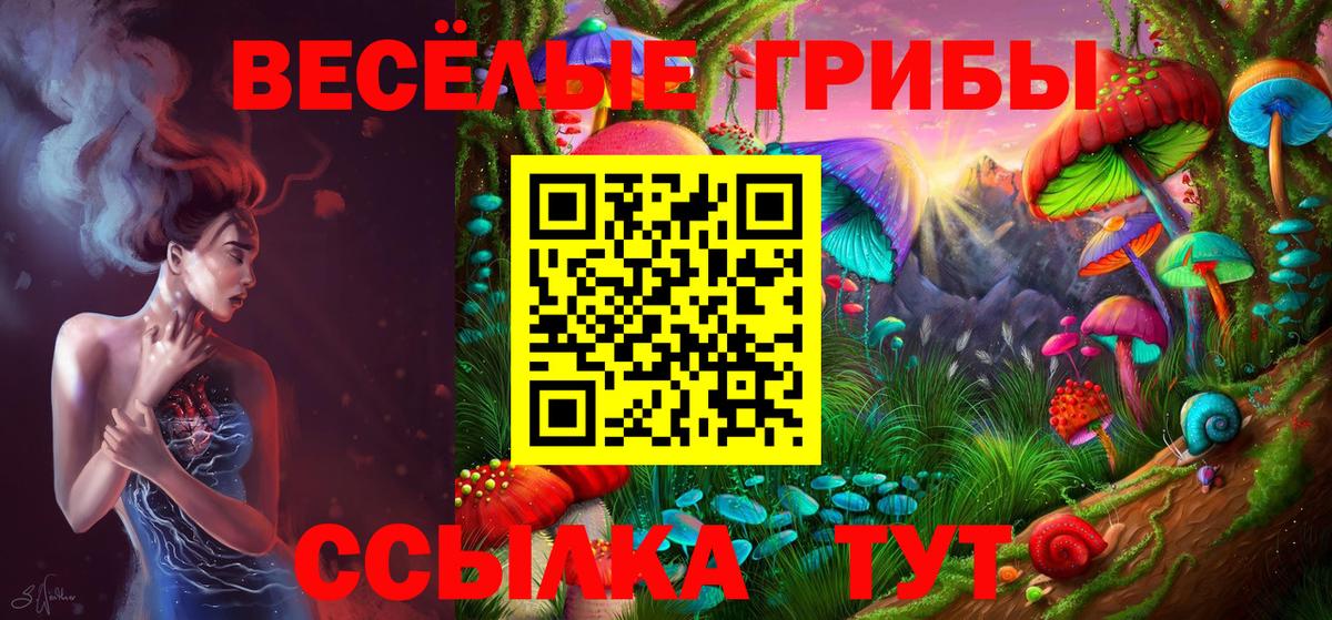 Псилоцибиновые грибы прущие грибы Пушкино